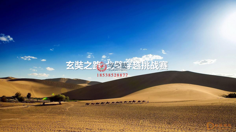 微信图片_20210311170208.png